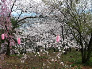 IMG_8692