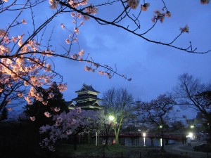 IMG_8784