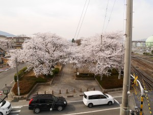 P1610152