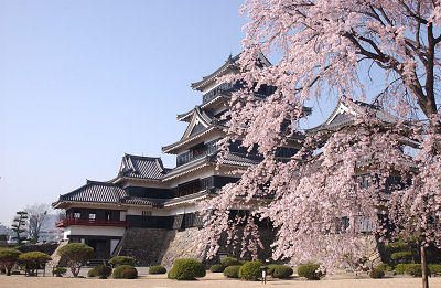 castle_sakura