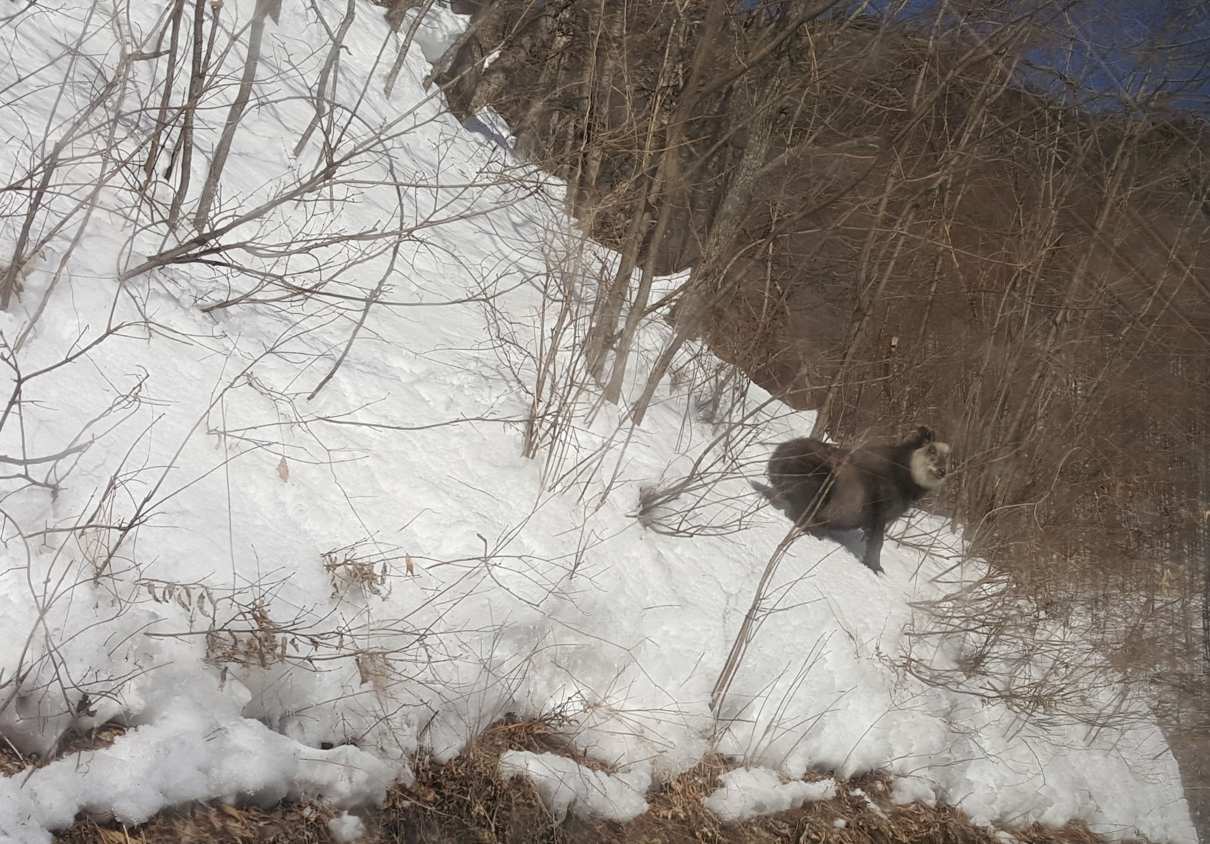 20180223_090935