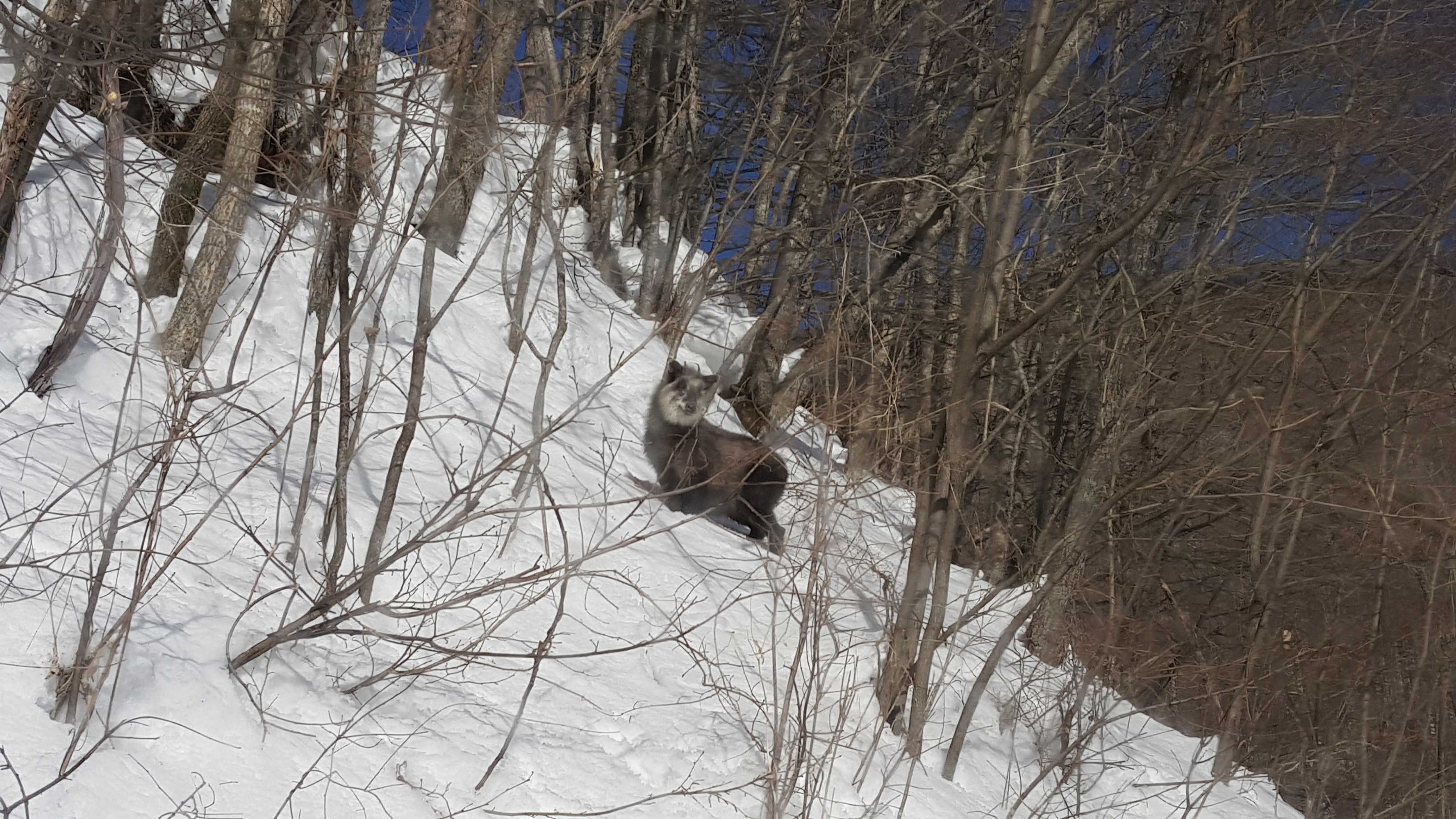 20180223_091024