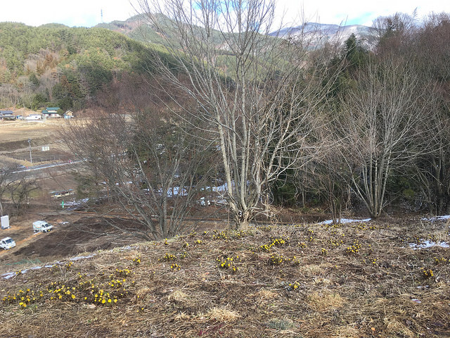 Fukujuso on the hilltop