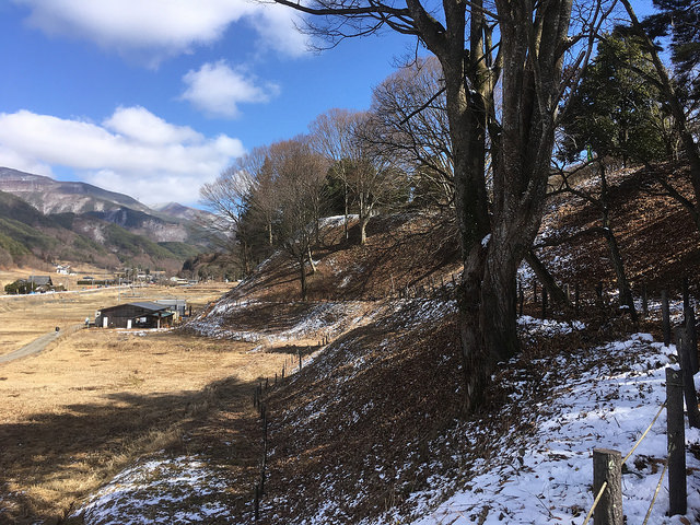 The hill of flowers and mountains in the background