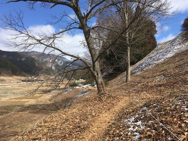 The hillside pathways