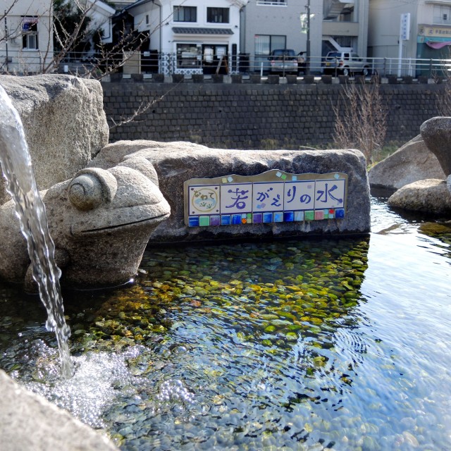 DSCN9247