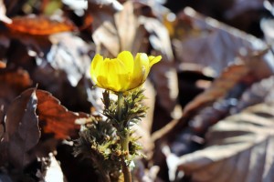 IMG_2324
