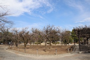 IMG_2878