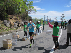 marathon12