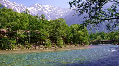 Wild Flowers & Monkeys, Fresh Green and Music Festival in Kamikochi