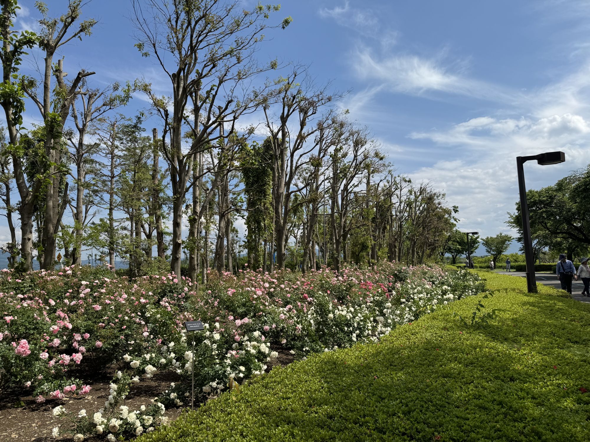 马场家住宅 松本市重要文化财产 行游松本